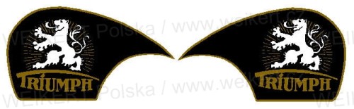  	Zgodnie z Dz. U. 94 Nr 24 poz. 83, sprost.: Dz. U. 94 Nr 43 poz. 170, kopiowanie, przetwarzanie i rozpowszechnianie tych materiałów w całości lub w części bez mojej zgody jest zabronione i stanowi naruszenie praw autorskich przez co podlega karze.